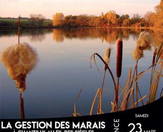 La gestion des marais à Chantilly, au fil des siècles