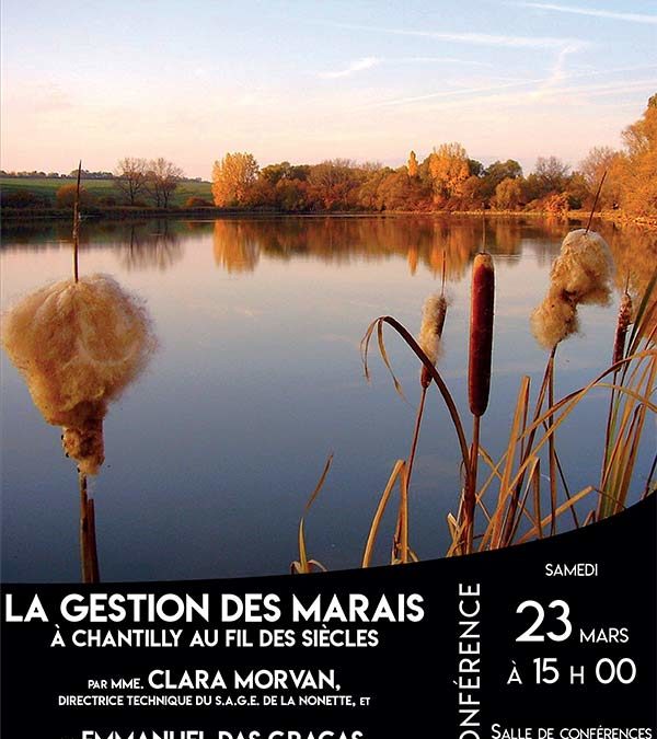 La gestion des marais à Chantilly, au fil des siècles
