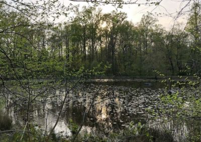 L'étang Walney dans le Ellanor C Lawrence Park, Chantilly, Va.