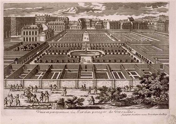 le potager du Roi à Versailles, gravure