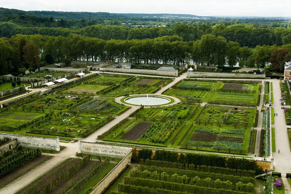 potager du Roi à Versailles de nos jours