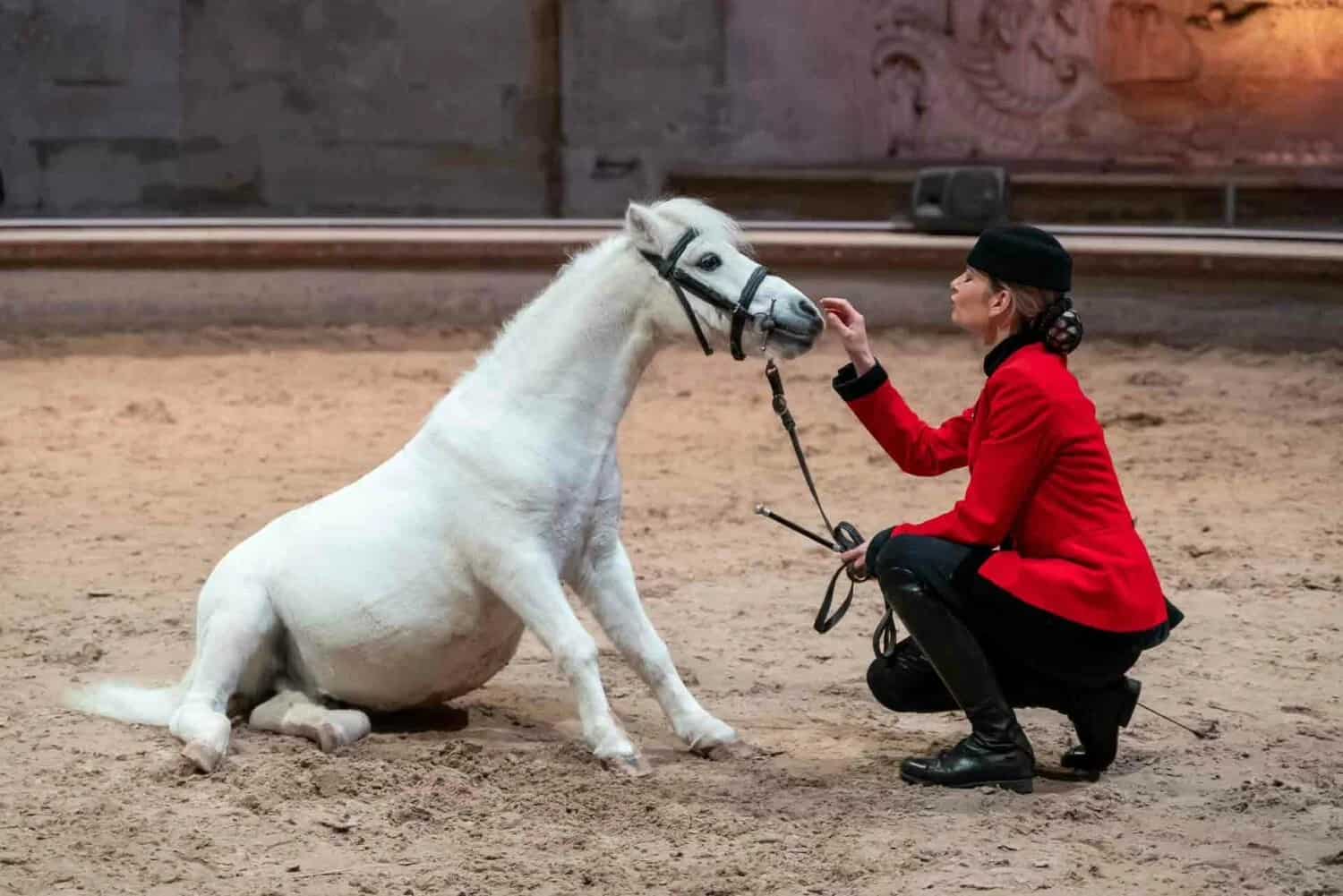 Musée vivant du cheval Musée vivant du cheval