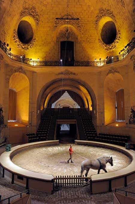 Musée vivant du cheval Musée vivant du cheval